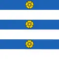 Flag of Borex