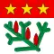Flag of La Praz