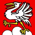 Flag of Saanen District