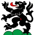 Flag of Schwarzenburg District