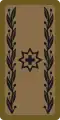 OF-6 - Brigadier general