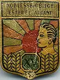 Insignia of CJF 15 (first model).