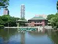 Before 2010 restoration of South Pond into a nature reserve, paddle boats could be rented