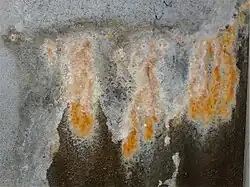 Calthemite flowstone on concrete wall, colored by iron oxide deposited with the CaCO3. A sign of concrete degradation.