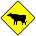 Cattle or domestic animals