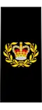 Royal Canadian Navy