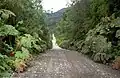 Carretera Austral near Caleta Gonzalo