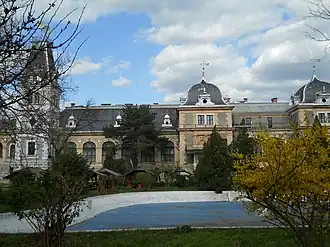 The Macea Castle