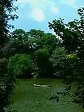 Central Lake in the zoo