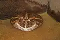 At Prague Zoo