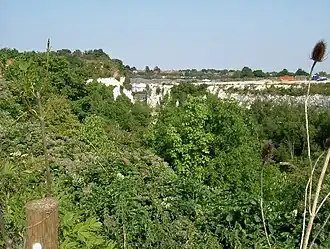 Chafford Gorges