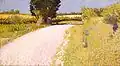 Path in the Country, ca. 1886