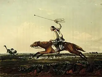 8. Ostrich chase