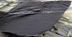 Chattanooga Shale