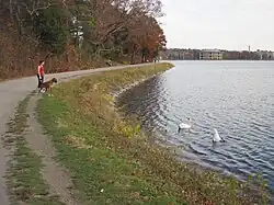 Walking path