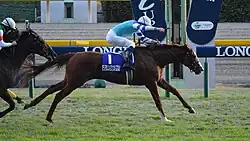 Cheval Grand