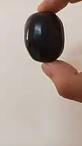 Closeup photo of Badlapur Jamun