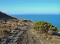 The coastal path on Cemaes Head