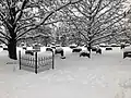 January 2019 after over 16 inches of snow