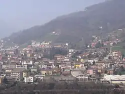 Colzate