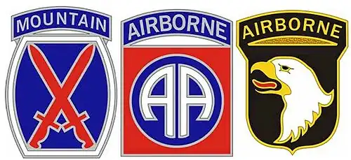 Combat Service Identification Badges