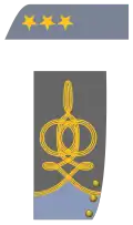 Colonel (Infantry shown)