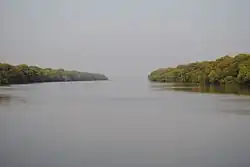 Coringa Wildlife Sanctuary, Kakinada