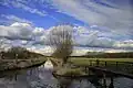 Landscape near Langbroek