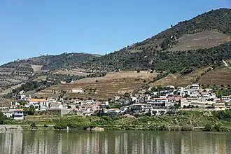 Covelinhas in 2014