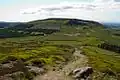 Cringle Moor from Cold Moor