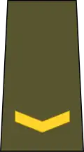 Teniente (Cuban Revolutionary Army)[26]