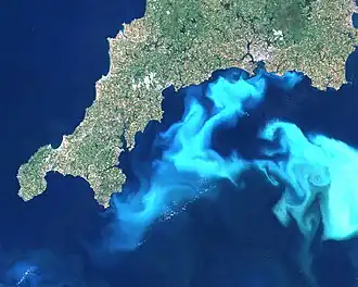 An example of an algal bloom just south of Cornwall, England.