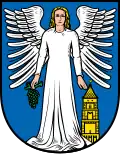 Coat of arms of Engelstadt