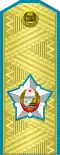 Vice marshal