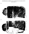 The Damodarpur copper plate of Vishnugupta Year 224 = 542-543 CE.