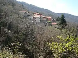 View (1)