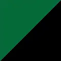 CSB school colors