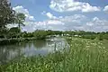 De Linge near Zoelen