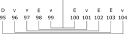 składka k