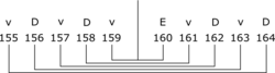 składka q