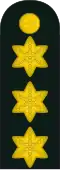 Generalløjtnant[17] (Royal Danish Army)