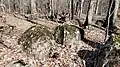 Jurassic diabase boulders in the Culpeper Basin northeast of Dulles Airport