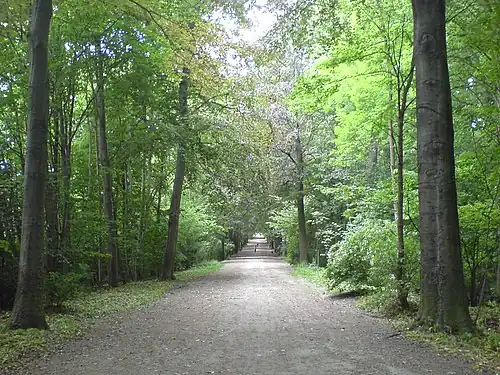 Dieleghem Wood