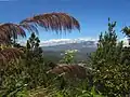 In the hills near Orosi