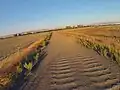 Dirt road in Fremont, California