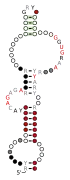 A consensus secondary structure and primary sequence for the docking elbow RNA motif.