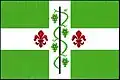 Flag of Dolenice