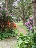 The Donbæk garden.