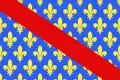 Unofficial flag