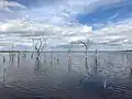 Dumbleyung Lake 2021
